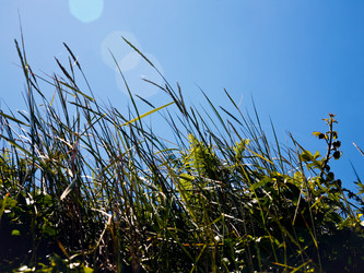 Similar image 2872868