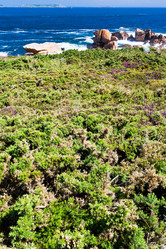 Similar image 2872877