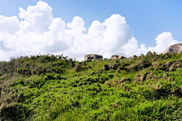 Similar image 2872878