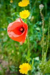 Similar image 2872882