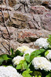 Similar image 2872883