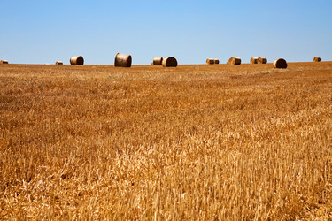 Similar image 2872898