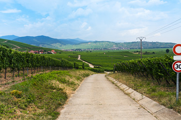 Similar image 2872901