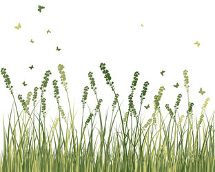 Similar image 2872976