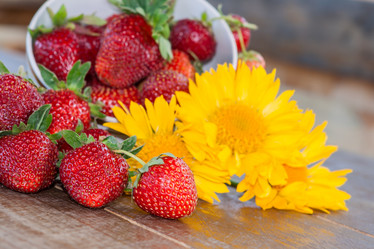 Similar image 2873406