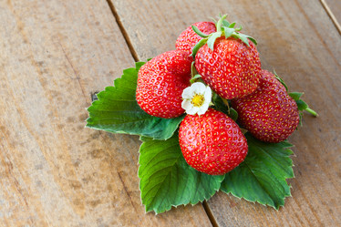 Similar image 2873407