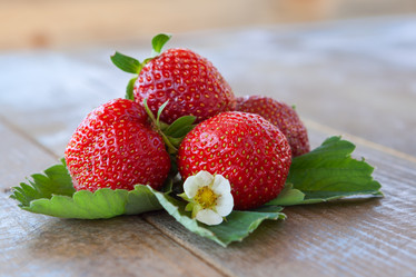 Similar image 2873408