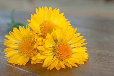 Similar image 2873409