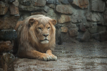 Similar image 2873430