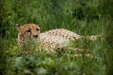 Similar image 2873431