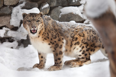 Similar image 2873438