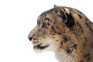 Similar image 2873439