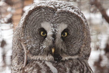 Similar image 2873441