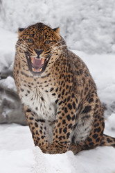 Similar image 2873442