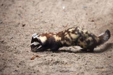 Similar image 2873443