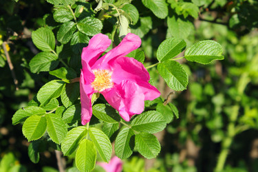 Similar image 2873463