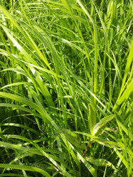 Similar image 2873566