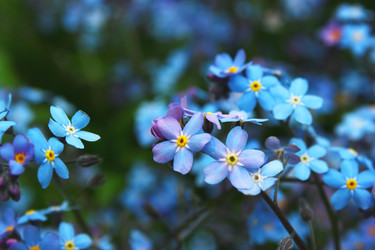 Similar image 2873581