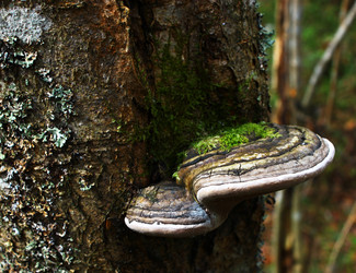 Similar image 2873582