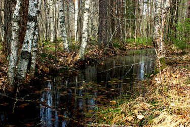 Similar image 2873598