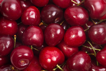 Similar image 2873611