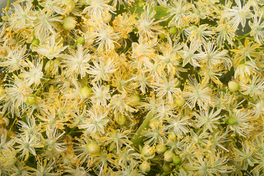 Similar image 2873617