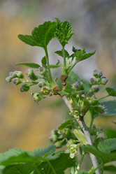 Similar image 2873645