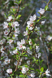 Similar image 2873647