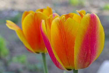 Similar image 2873649