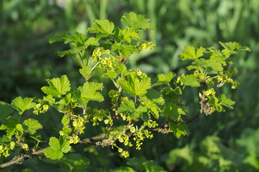 Similar image 2873650