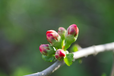 Similar image 2873651