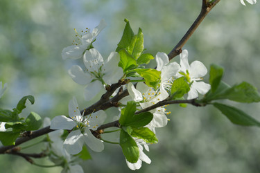 Similar image 2873652