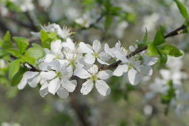 Similar image 2873653