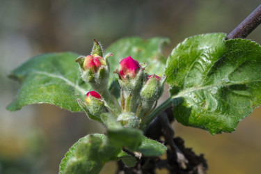 Similar image 2873683