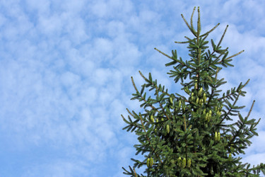 Similar image 2873727