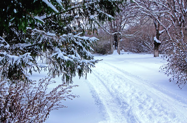 Similar image 2873759