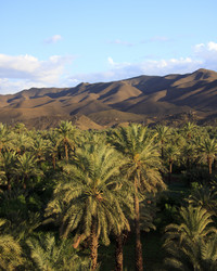 Similar image 2873785