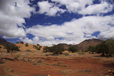 Similar image 2873792