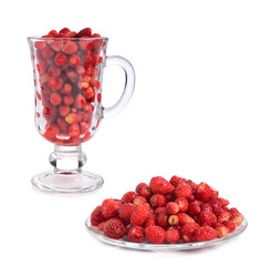 Similar image 2873807