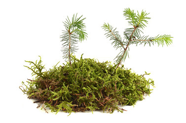 Similar image 2873813