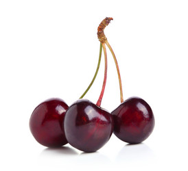 Similar image 2873819