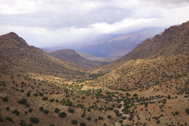 Similar image 2873823