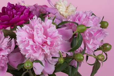 Similar image 2873834