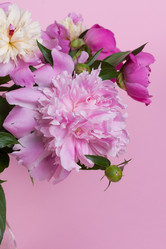 Similar image 2873840