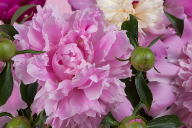 Similar image 2873842