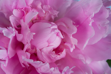 Similar image 2873858