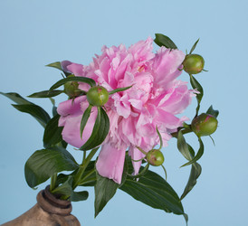 Similar image 2873859