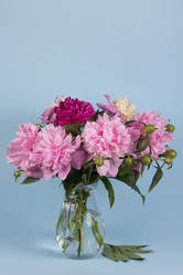 Similar image 2873860