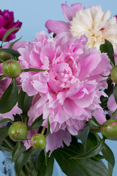 Similar image 2873862