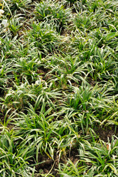 Similar image 2873887